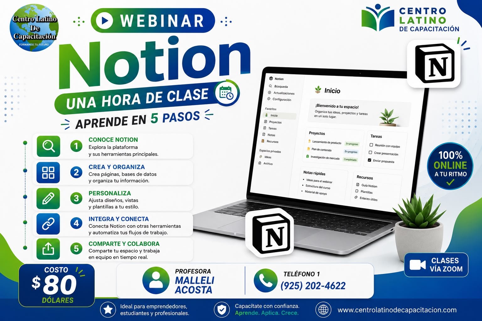 Webinar Notion